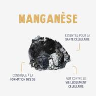 Le Manganèse, c'est l'oligo-élément indispensable pour booster votre corps ! 💪

🤩 Il joue un rôle crucial dans de nombreuses réactions enzymatiques qui sont essentielles pour maintenir la santé des cellules dans tout le corps.

🦴 Il participe à la synthèse du tissu osseux et contribue ainsi à maintenir la santé des os et la densité minérale.

✨ En tant qu'antioxydant, il aide à protéger les cellules contre les dommages causés par les radicaux libres, contribuant ainsi à ralentir le processus de vieillissement cellulaire.

Retrouvez du Manganèse dans le Collagen DUO STC Nutrition® : disponible en pharmacie le site internet (lien en bio).

#STCNutrition #LaboratoiresIneldea #Manganese #Bienetre #Essentiel #Nutrition #Santé #Collagene